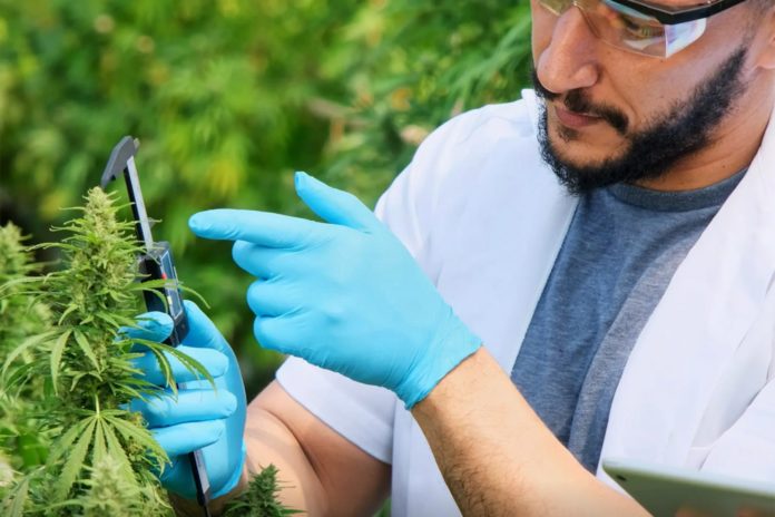 is-this-a-new-era-of-medical-marijuana-breakthroughs?