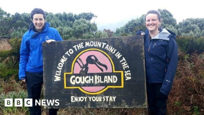 gough-island:-worker-sought-for-one-of-world’s-remotest-places