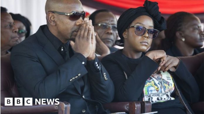 bona-mugabe-owns-dubai-mansion,-zimbabwe-court-papers-allege