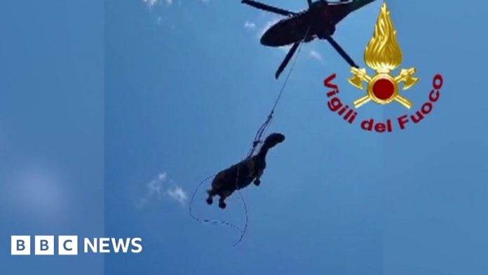 horse-airlifted-to-safety-from-deep-italian-pit