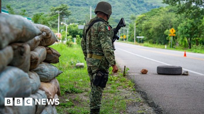 ten-cuban-migrants-hiding-in-truck-die-in-mexico-accident