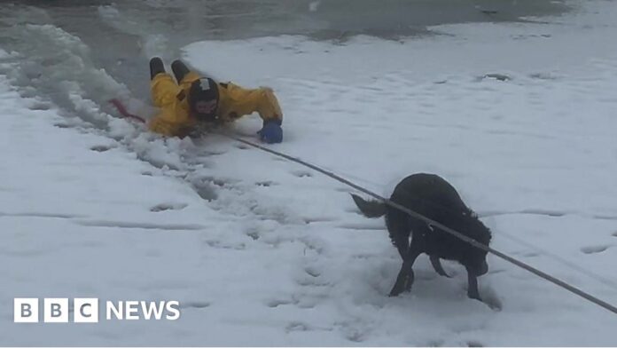 utah:-firefighter-jumps-into-icy-lake-to-rescue-dog