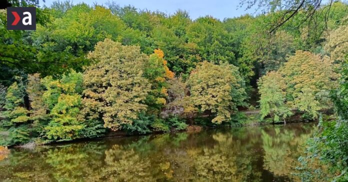 pondelok-bude-jasny,-teplota-vystupi-az-na-10-stupnov-celzia