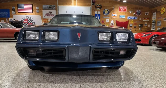 golden-era-muscle-car:-1981-pontiac-firebird-trans-am